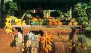 fruits polynesiens